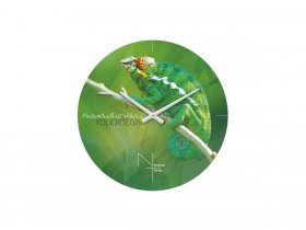 Часы настенные Nicole Time NT503 в Бобровке - bobrovka.mebel-nsk.ru | фото